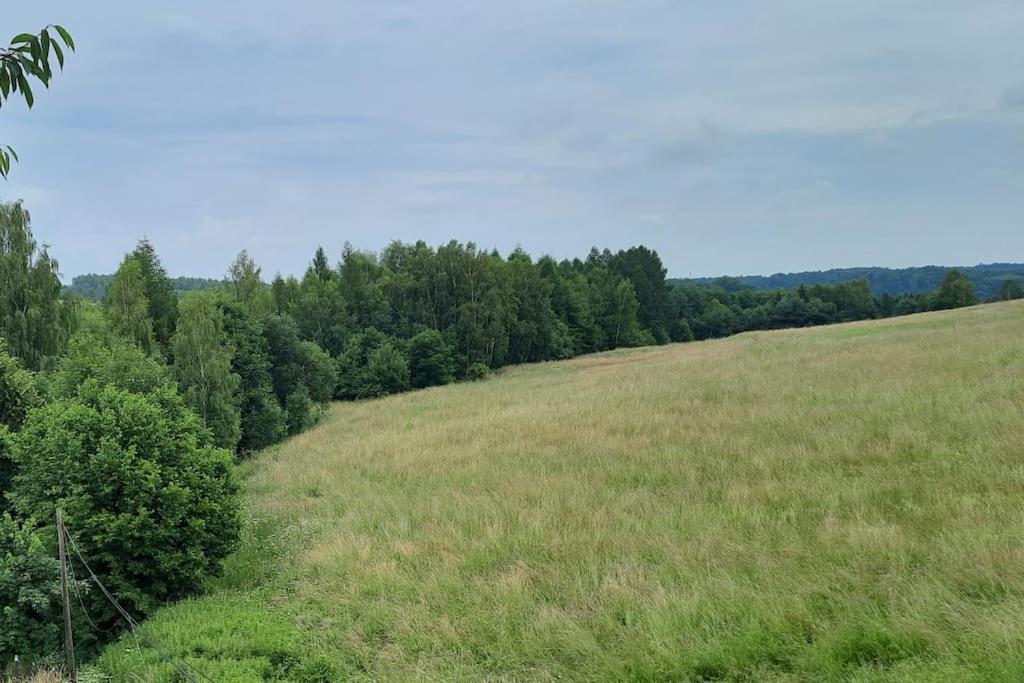 Ferienwohnung Ojcowski Zakatek-Uroczy Domek Do Wynajecia Wola Kalinowska Exterior foto